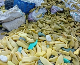 Công Ty Thu Mua Phế Liệu Giá Cao Tại Quận 12 - Phế Liệu Phát Tài