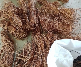 THU MUA PHẾ LIỆU TẠI QUẬN 9 / GIÁ CAO NHẤT HÔM NAY 