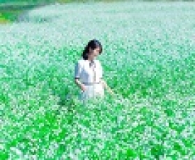 Minh Anh/Kế toán kho CTY Toàn Cầu
