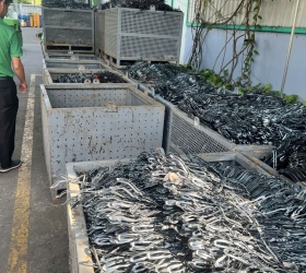 Kinh nghiệm bán phế liệu không bị thiệt khi cân hàng