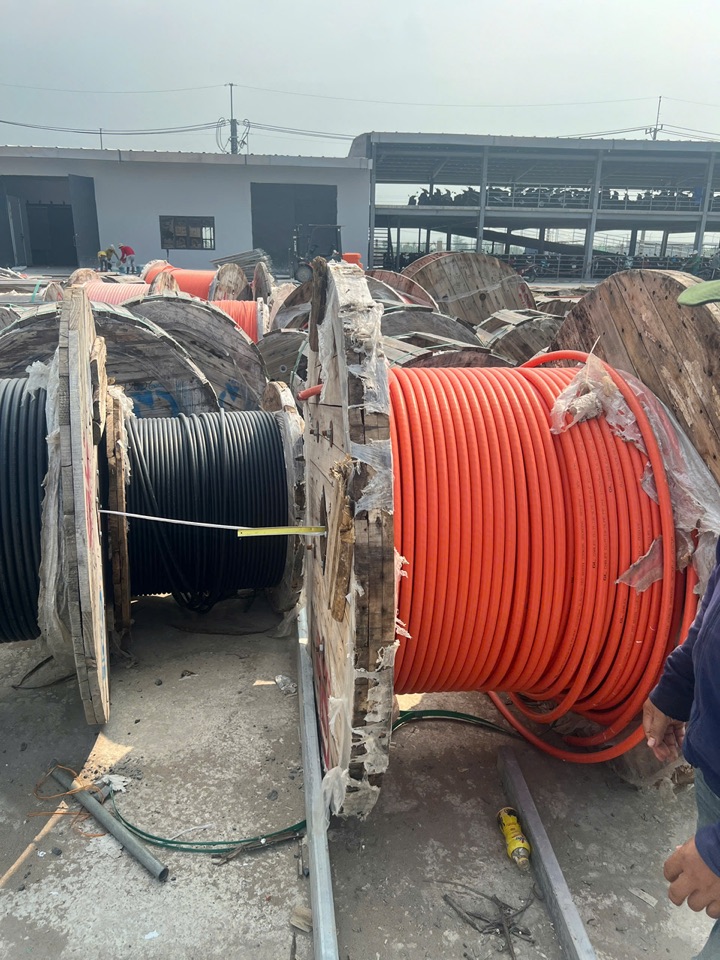 Cuộn cáp điện còn nguyên trên rulô gỗ Phát Tài thu mua tại nhà xưởng